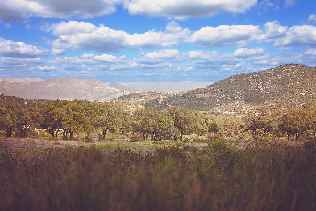 Hotel Boutique Rancho Tecate Dış mekan fotoğraf
